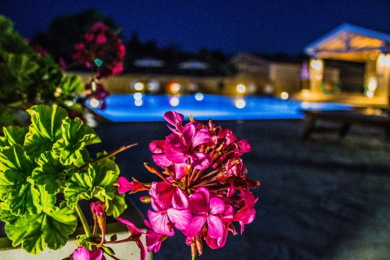 Astrakeroula Corfu Apartment Astrakeri Exterior foto